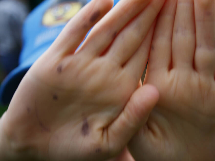 Lapsi on nostanut mustikkatahraiset kämmenet kameraan päin, takaa näkyy osa lippalakista.