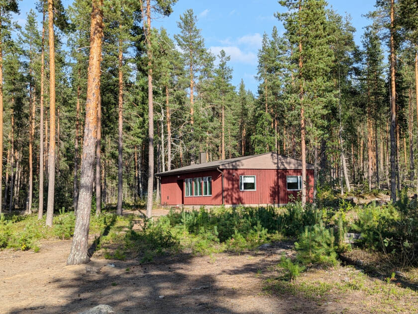 Mäntymetsän keskellä on lautarakenteinen matala rakennus.