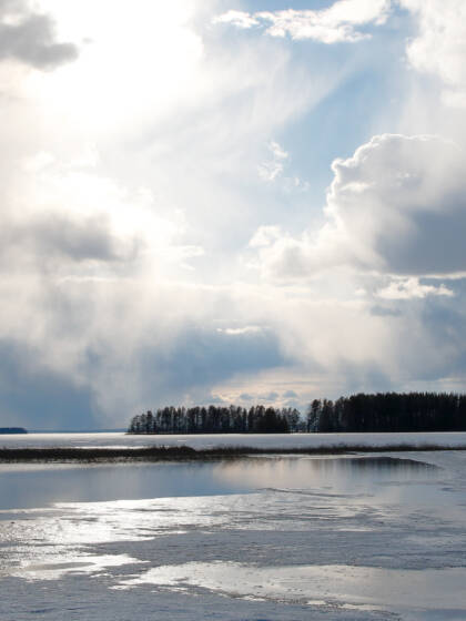 Järven jäät ovat sulamassa, ja vesi on osin vapaana kaislikon kupeessa, aurinko paistaa pilvien raosta.